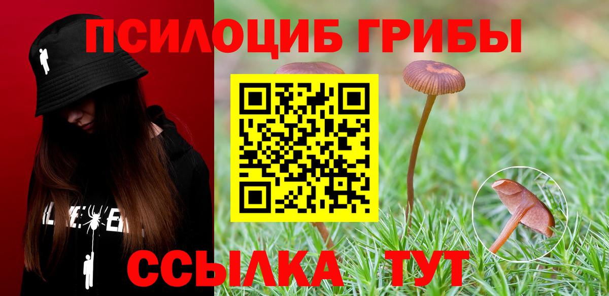 Галлюциногенные грибы мухоморы  Вход с VPN  Янаул  Галлюциногенные грибы MAGIC MUSHROOMS 